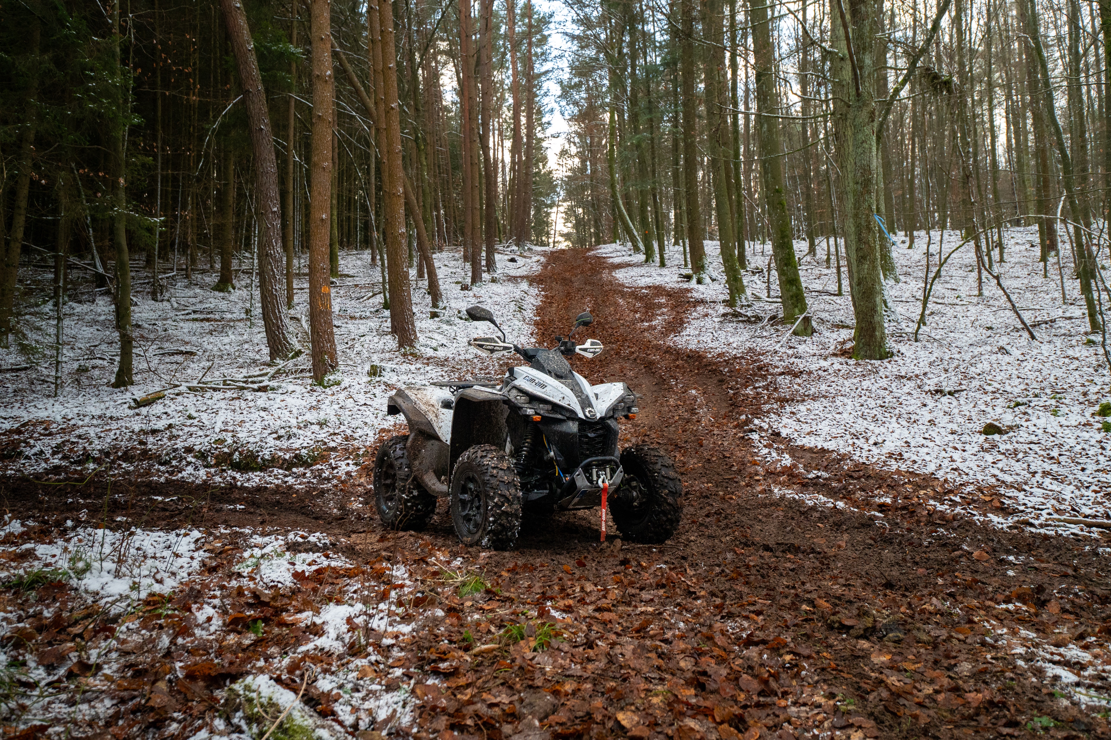 Carporn - CanAm